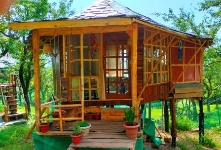 Luxury stay in Bir Billing wooden Machaan Cottage