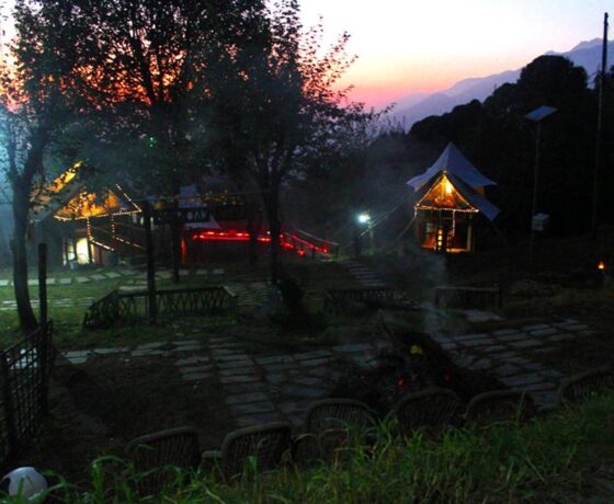 Camp Oak View and Luxury Machaan cottage