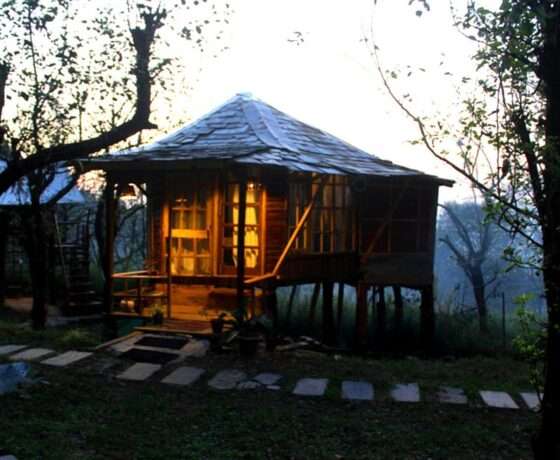 wodden Machaan cottage for comfortable stay in Bir Billing Himachal pradesh