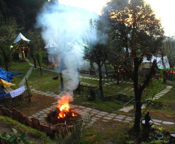 Camp Oak View for music bonfire adventure
