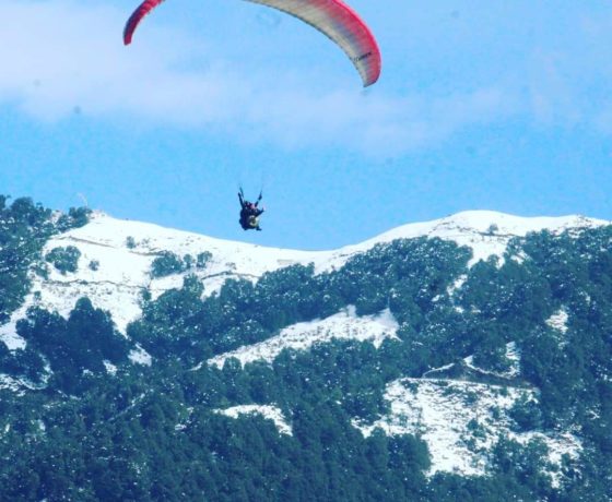 parasailing in bir billing paragliding