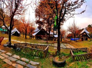 Machaan Tent Camping in Bir