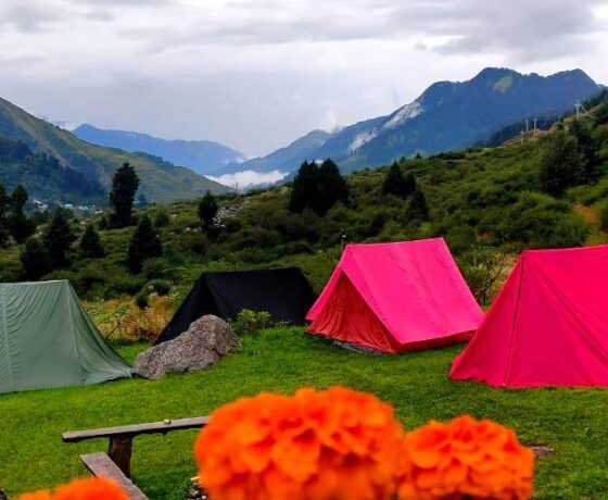 Camping options in Bir Billing Himachal Pradesh
