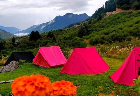 Raj Gundha packages in Bir Billing for trekking and Camping