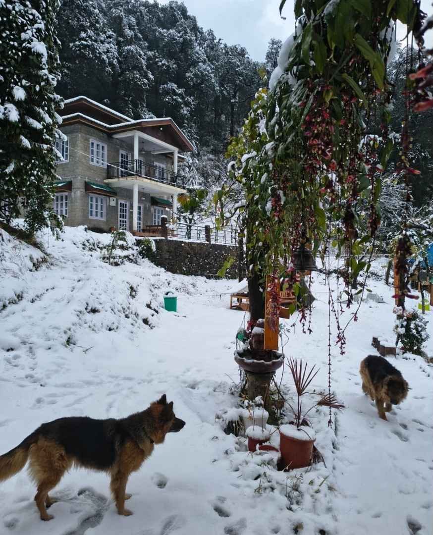 Snow in Bir with best stay options