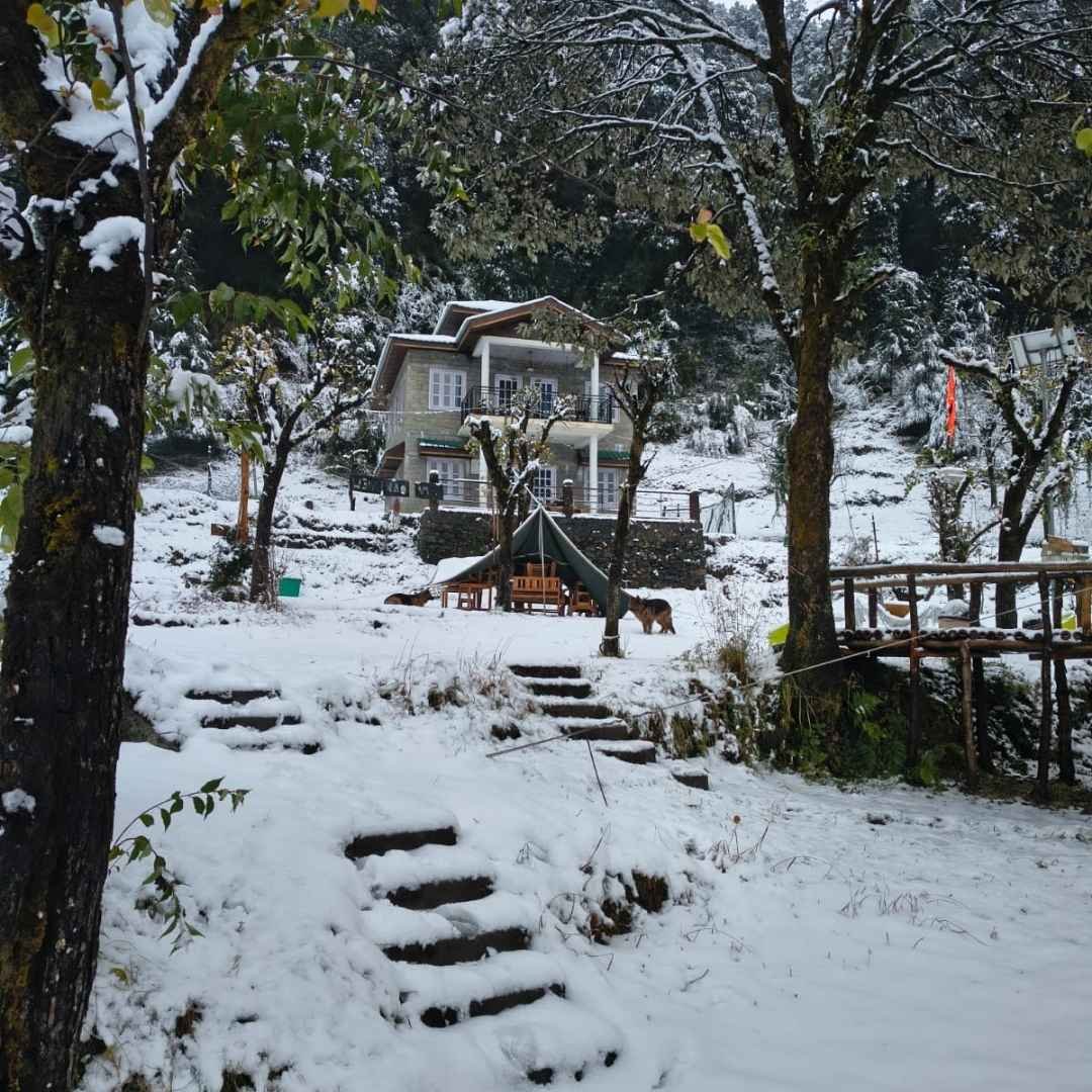 Snowfall in Bir Billing Himachal Pradesh