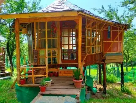 Luxury Wooden Machaan Cottage Bir Billing