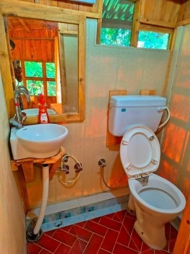 Bathroom with Geyser